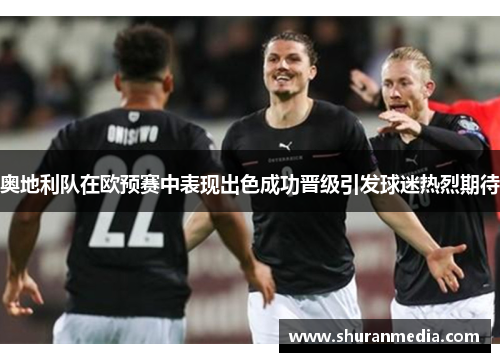 奥地利队在欧预赛中表现出色成功晋级引发球迷热烈期待