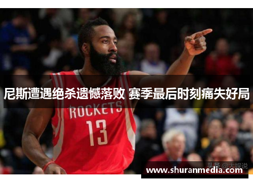 尼斯遭遇绝杀遗憾落败 赛季最后时刻痛失好局