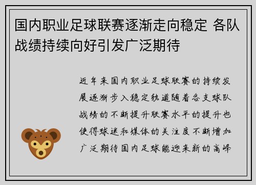 国内职业足球联赛逐渐走向稳定 各队战绩持续向好引发广泛期待