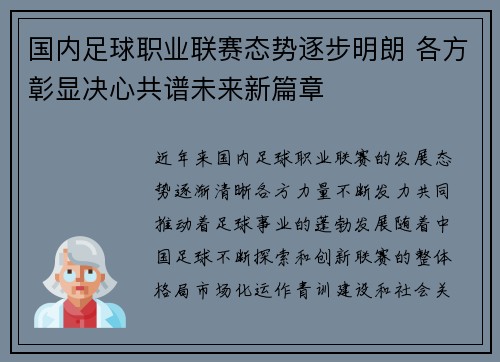 国内足球职业联赛态势逐步明朗 各方彰显决心共谱未来新篇章
