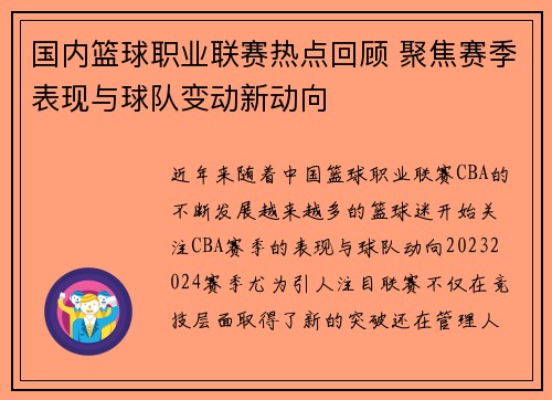 国内篮球职业联赛热点回顾 聚焦赛季表现与球队变动新动向